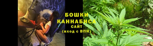 молекула духа Кинешма