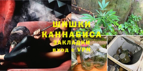 индика Киреевск