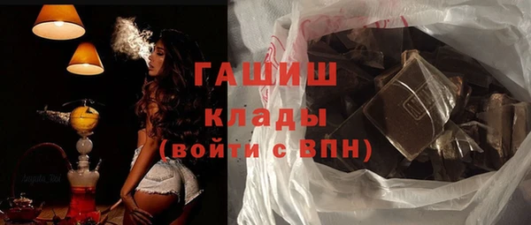 индика Киреевск