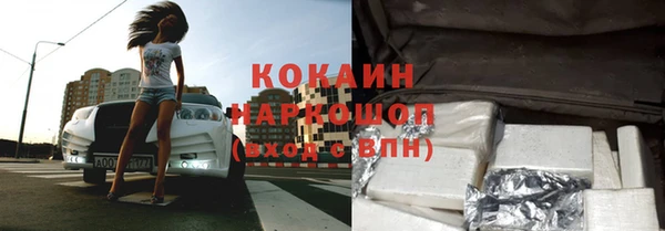 индика Киреевск