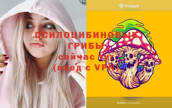 индика Киреевск