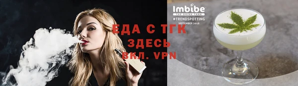 индика Киреевск