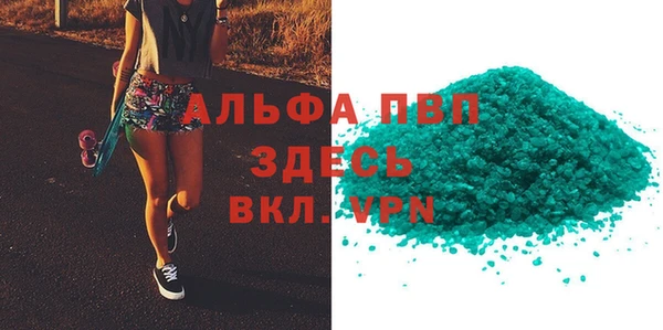 индика Киреевск