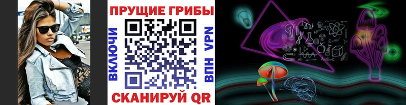 Купить где  Сосенский  Псилоцибиновые грибы Psilocybe 